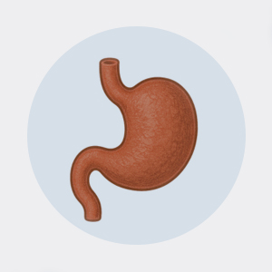 위산과다 속쓰림 개선