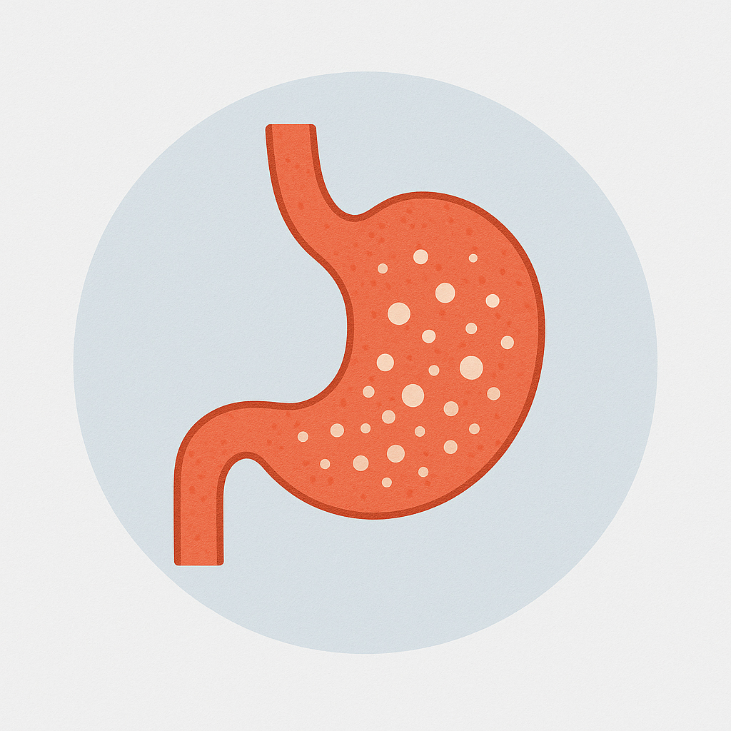 위장 내 이상발효 개선